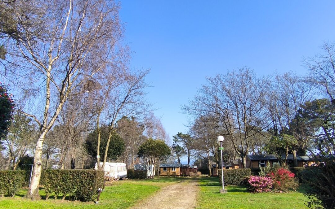 RETOS EN CAMPING PLAYA OTUR PARA EL AÑO QUE COMIENZA